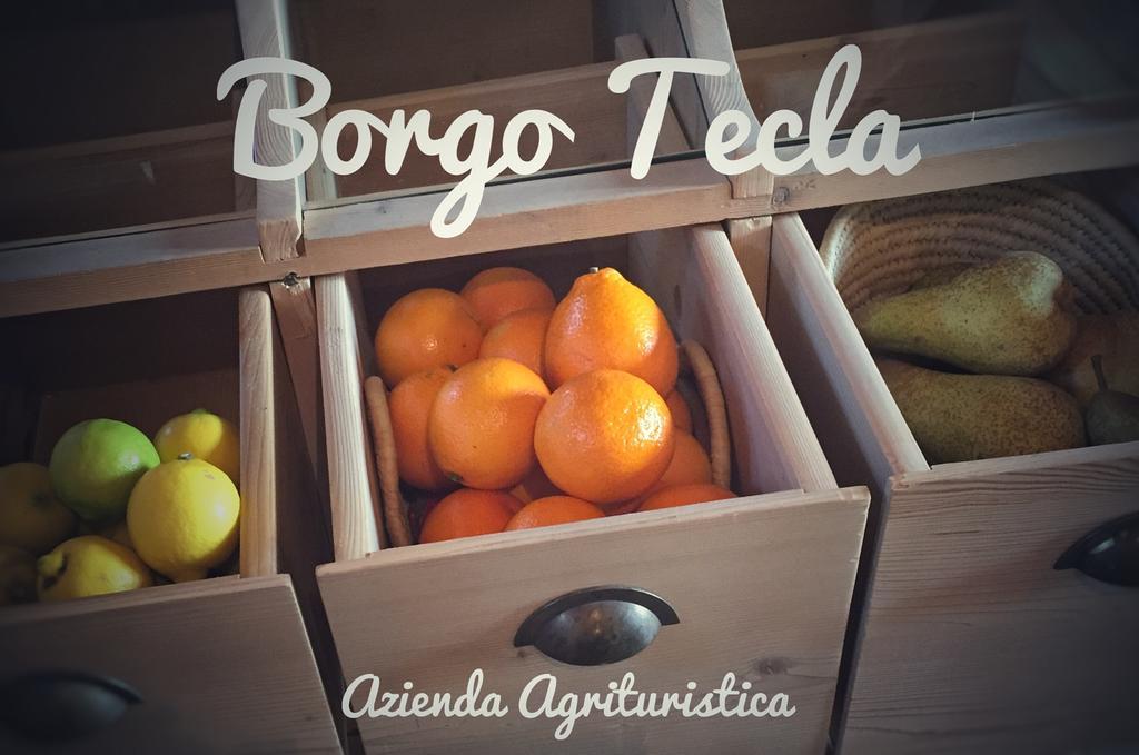 Agriturismo Borgo Tecla Rosà Dış mekan fotoğraf