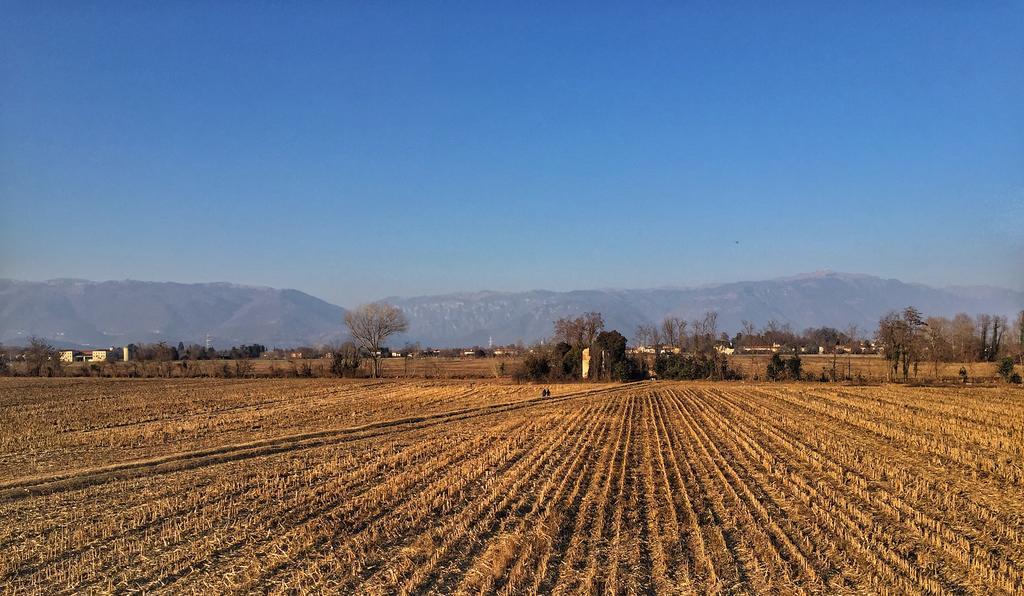 Agriturismo Borgo Tecla Rosà Dış mekan fotoğraf